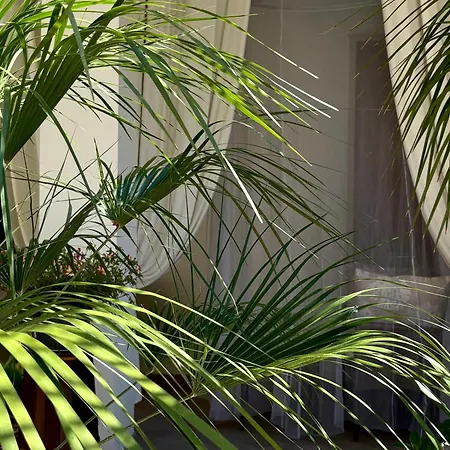 فندق مبيت وإفطار Casa Mar - - تيراتشينا